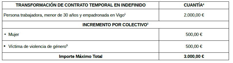Ayudas empleo Concello de Vigo