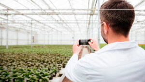 Proyectos industriales en el sector agroalimentario