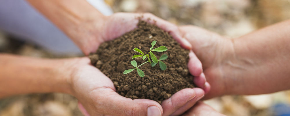 Ayuda a productores del sector agrícola
