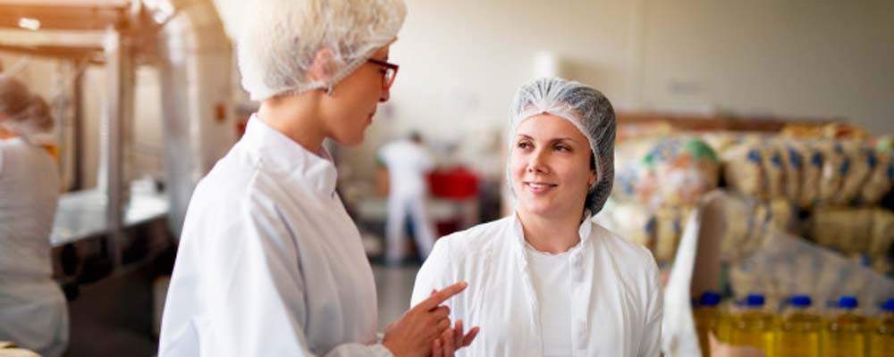Ayudas Business Factory Food