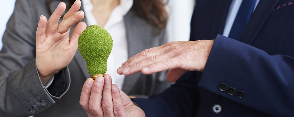 IG408N Ayudas a proyectos de descarbonización