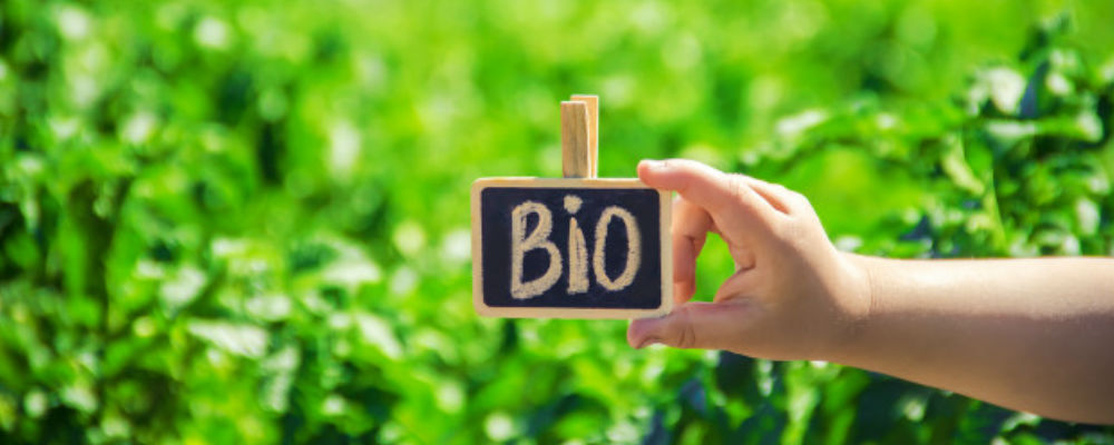ayudas de ecoinnovación comercial