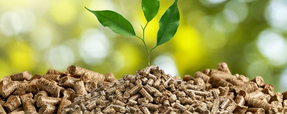 Ayudas para la instalación de biomasa