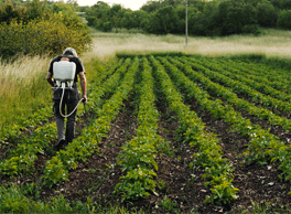 Ayudas a cooperativas agrícolas